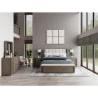 Sariel Queen Upholstered Storage Bed